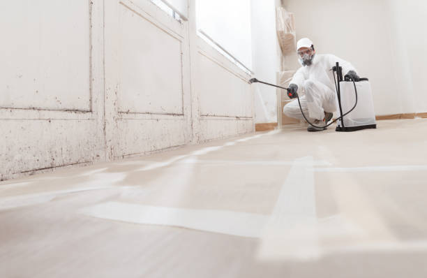 24/7 Emergency Mold Remediation experts in Curwensville, PA