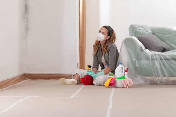 Reliable Mold Remediation contractor in Curwensville, PA by Cheap Mold Removal